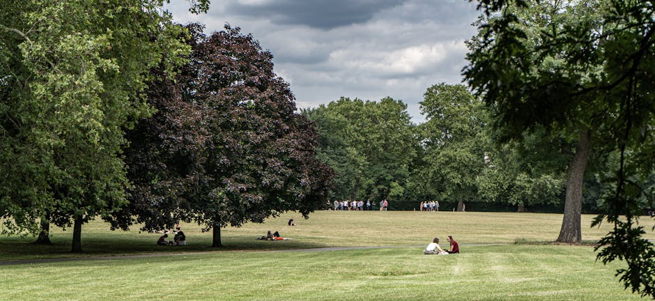 A spacious urban park featuring a well-maintained grassy lawn with varying shades of green, bordered by a diverse array of mature trees including leafy deciduous species and darker-leaved varieties. The trees provide shade for visitors sitting on wooden benches and relaxing on the grass. The park has a mixture of open areas and shaded spots, with a gravel or dirt pathway visible toward the back. Overhead, a cloudy sky offers diffuse light, highlighting the textures of the lush grass, the bark of the trees, and the leaves. In the foreground, branches with dark green leaves extend into the frame, while in the background, groups of people can be seen enjoying the outdoor space. The overall scene reflects a tranquil environment maintained through careful landscaping work, including lawn care and tree trimming, with the expertise of Gardeners Dulwich contributing to the park’s tidy and inviting appearance.