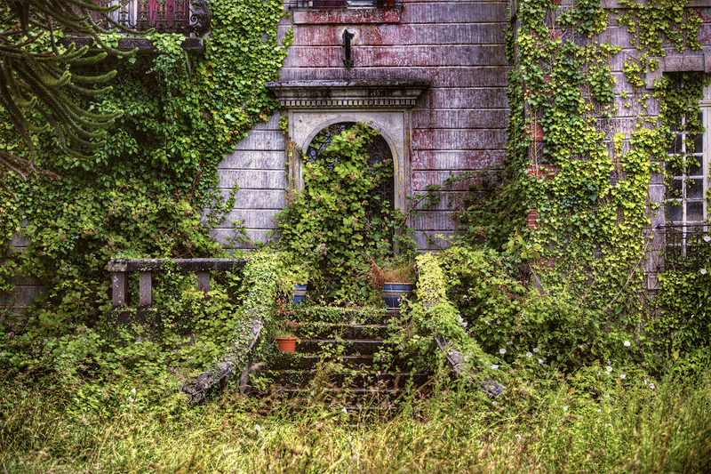 garden design garden care